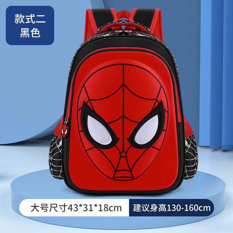 Ragno dagli occhi neri grande