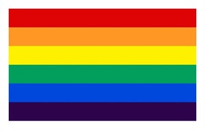 ธงสีรุ้ง LGBT ขนาด 3x5 ฟุต ผลิตจากโพลีเอสเตอร์ 100% สำหรับงานขายส่ง ธงแสดงความภาคภูมิใจของกลุ่มเลสเบี้ยน ตัวแทนรัฐประภาชน์ และคนข้ามเพศ - Product Image 2