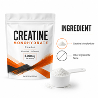 Nutrition sportive personnalisée Électrolyte de protéines 5000mg pur Hcl Pump It up Poudre de créatine monohydrate micronisée pour les muscles