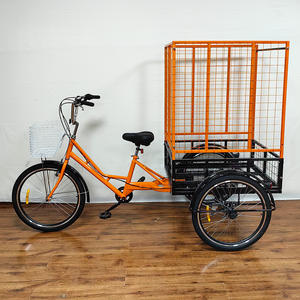 Venta Directa de Fábrica Oferta Especial <span class=keywords><strong>Triciclo</strong></span> de Carga de 24 Pulgadas para Entrega Exprés de 3 Ruedas Cerrado con Chasis Robusto y Cabina Grande de Acero - Product Image 4