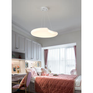 โคมไฟเพดานสไตล์นอร์ดิก ดีไซน์สร้างสรรค์แบบวาบิซาบิ โมเดิร์น มินิมอล เหมาะสำหรับห้องรับประทานอาหาร ห้องนอนใหญ่ และห้องพัก - Product Image 2