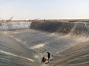 Geomembrana Impermeable de 1 mm para Estanques de Peces, Estanques de Camarones y Otras Acuiculturas - Product Image 3