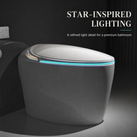 WC intelligent avec réservoir d'eau indépendant, commande vocale mains libres, éclairage nocturne ambiant, expérience d'ouverture lumineuse LED, OEM ODM
