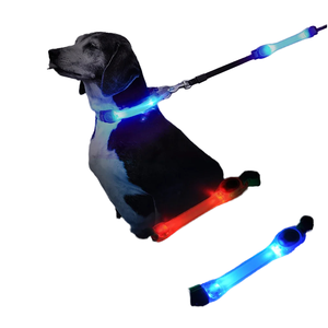 <span class=keywords><strong>Collar</strong></span> de perro LED de silicona de lujo con patrón sólido intermitente noche caminar seguridad cachorro plomo para perros pequeños - Product Image 4