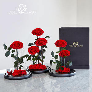 Caja de Rosas Preservadas al por Mayor, Regalo para el Día de San Valentín y el Día de la <span class=keywords><strong>Madre</strong></span>, Ramo de Rosas Eternas en Cúpula de Cristal para Decoración del Hogar y Regalos - Product Image 2