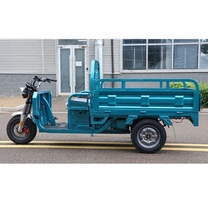 Triciclo Eléctrico de Carga de 3 Ruedas, Mini Camión Eléctrico, Motocicleta de Carga en Venta, Almacén en Alemania - Product Image 4