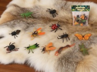 Jouet d'imitation en PVC pour enfants, modèle d'insecte, spécimen cognitif pour la maternelle, abeille, libellule, scorpion, papillon, animal sauvage, unisexe