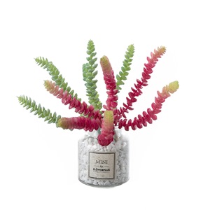 CallaFloral Plante artificielle succulente à 6 têtes en forme de pièces de monnaie en cuivre, rouge et verte, en PVC, pour la décoration intérieure - Product Image 5