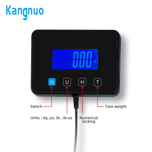 เครื่องชั่งสแตนเลส200กก. เครื่องชั่งแพลตฟอร์มเครื่องจักรกลอุตสาหกรรมหนัก - Product Image 3