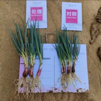 Poudre 3-en-1 de promotion de la croissance et de la résistance au stress à base d'acides aminés, d'acide fulvique et d'acide d'algues, 100% soluble dans l'eau, pour l'agriculture
