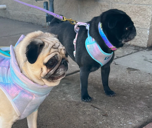 Arnés de perro opcional con patrón de unicornio personalizado brillante, correa a juego y bolsa para caca, arnés de perro personalizado suave transpirable - Product Image 5