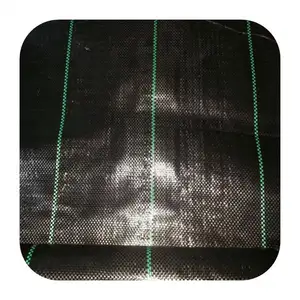 Colorful Outdoor Decoration Lawn Woven Grass Mats For Home Garden Suppliers Woven Geotextile 500G M2