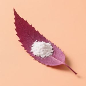 Poudre de chaux hydratée Hydroxyde de calcium Blanc Marque HONGYU Pureté 95%-99,5% Certifié ISO9001 200-1200 Mesh <span class=keywords><strong>Métaux</strong></span> lourds - Product Image 3