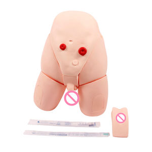 Модель катетеризации мочевыводящей системы для мужчин и женщин - Product Image 6