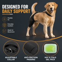 Attelle pour genou de chien FD603 avec compresse chaude et froide réutilisable pour la récupération et le soulagement de la douleur des articulations des pattes arrière des chiens