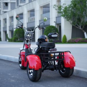 Monopattino Elettrico a Tre Ruote Y20 con Pneumatici Larghi, Doppio Sedile, Lunga Autonomia, Modello Citycoco - Spedizione da Magazzino USA - Product Image 3
