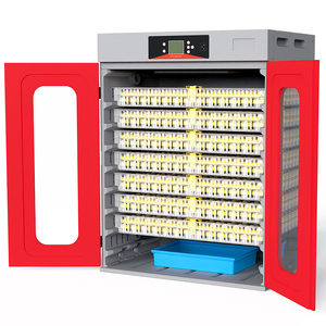 Incubadoras de <span class=keywords><strong>Huevos</strong></span> Rojas Chinas para Incubar <span class=keywords><strong>Huevos</strong></span> de <span class=keywords><strong>Gallina</strong></span> con Incubación Automática, Material PE, Nuevo - Product Image 3