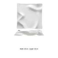 Assiette Gourmet Creative Flow 30 × 30 cm Empilable M1934