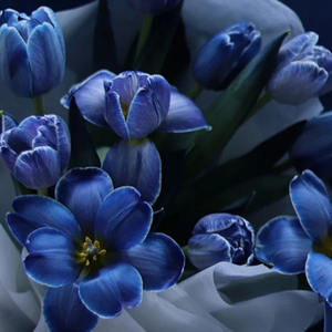 HUAZHIYUAN Diseño Floral Macaron Colores Pulverización Pared Pequeña Telón de Fondo Navidad Boda Decoración Caja Floral Aerosoles Floristas Regalos - Product Image 5