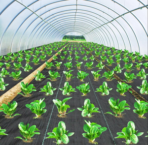 Công nghiệp PP dệt vải địa kỹ thuật không dệt 150g-300g gia cố chống rách thân thiện với môi roadbed vải địa kỹ thuật cho - Product Image 3