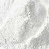 Poudre de talc modifiée à haute fluidité, chargeur à fort impact, pour composants automobiles, qualité extrusion, poudre de talc de renforcement ChengWei
