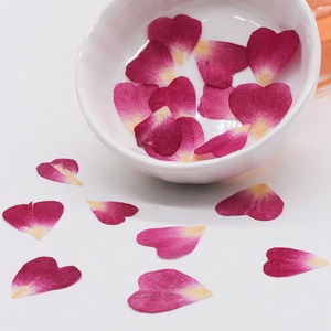 20pcs/bag Real <strong>Dried</strong> Pressed Flower China Rose <strong>Petal</strong> for Nail Art DIY Craft - Product Image 2