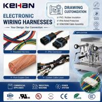 Arneses de Cableado Electrónico Personalizados con Aislamiento de PVC/Goma, Clasificación IP66, Ensamblaje de Cables OEM ODM para Electrodomésticos y Máquinas