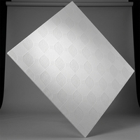 Venta al por Mayor de Placas de Techo de PVC y Yeso Personalizables de 595x595 mm, con Revestimiento de Lámina de Aluminio, Resistentes al Fuego y a la Humedad, para Construcción