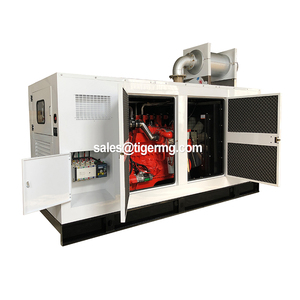 1mW 20kW 50kva 100kw 120kw 200Kw 200kva 500kw Máy phát điện Biogas LPG điện khí Máy phát điện giá im lặng công nghiệp khai thác mỏ thợ mỏ - Product Image 5