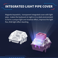 TTC Magneto King Switch avec guide de lumière Voyage de clé personnalisé pour clavier de commutateur magnétique Wooting/Irok/Ajazz/Aula/Madlions