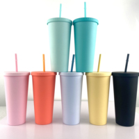Gobelets en plastique maigres 22OZ Blanks Gobelets en plastique solides et droits à double paroi avec couvercles et paille
