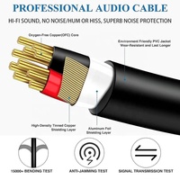 Xput Tip C - Çift 6.35MM Y Splitter Ses Enstrüman Kablosu USB C - Çift 6.35MM Kablo Telefon Dizüstü Bilgisayar Müzik Cihazlarını Bağlamak İçin