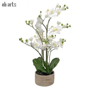 Orquídea artificial Oh Arts de alta calidad, plantas de flores, orquídeas de imitación de tacto real en jarrón de cemento, orquídea Phalaenopsis blanca realista