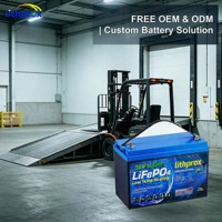 Paquete de Baterías de Litio Industriales de 36V 100AH, Celdas de Batería LiFePO4 de Alta Resistencia para Montacargas de Tres Ruedas, Servicio CE RoHS FCC OEM ODM