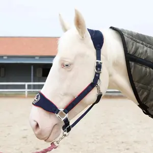 Conjunto de cabrestos e cordas de chumbo para cavalos equestres, gaiola de nylon anti-desgaste personalizada para bordado