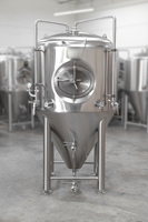 Équipement de brassage de bière en acier inoxydable 300L, mini-brasserie avec cuves de fermentation