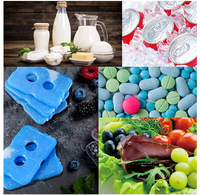 Brique de Glace Réutilisable en Plastique pour Congélateur, Vente en Gros Usine, Pack de Glace Mince pour Boîte à Lunch, Brique Réfrigérante pour Garder au Frais