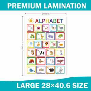 Decoración para Preescolar, Actividades de Aprendizaje, Suministros para Jardín de Niños, Juego de 12 Pósters Educativos para el Aula - Product Image 5