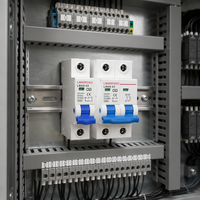 Disjoncteur miniature MCB 16A 2A à montage sur rail DIN 1P 2P 4P, dispositif de protection électrique pour équipement de puissance