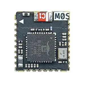 Siped M0S 도크 tinyML RISC-V BL616 무선 Wifi6 모듈 개발 보드