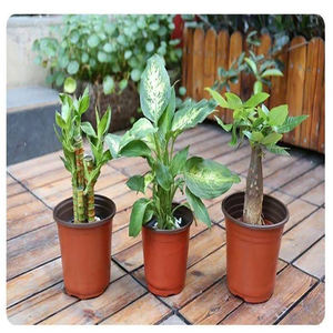 Pots de pépinière en plastique bicolore pour la maison et le jardin Contenant de plantes à fleurs et de graines de toutes tailles - Product Image 6