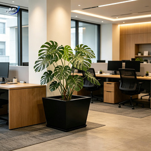 Maceta Cuadrada de Metal ML, Moderna y Minimalista, con Recubrimiento en Polvo Negro, para Plantas de Jardín - Product Image 5