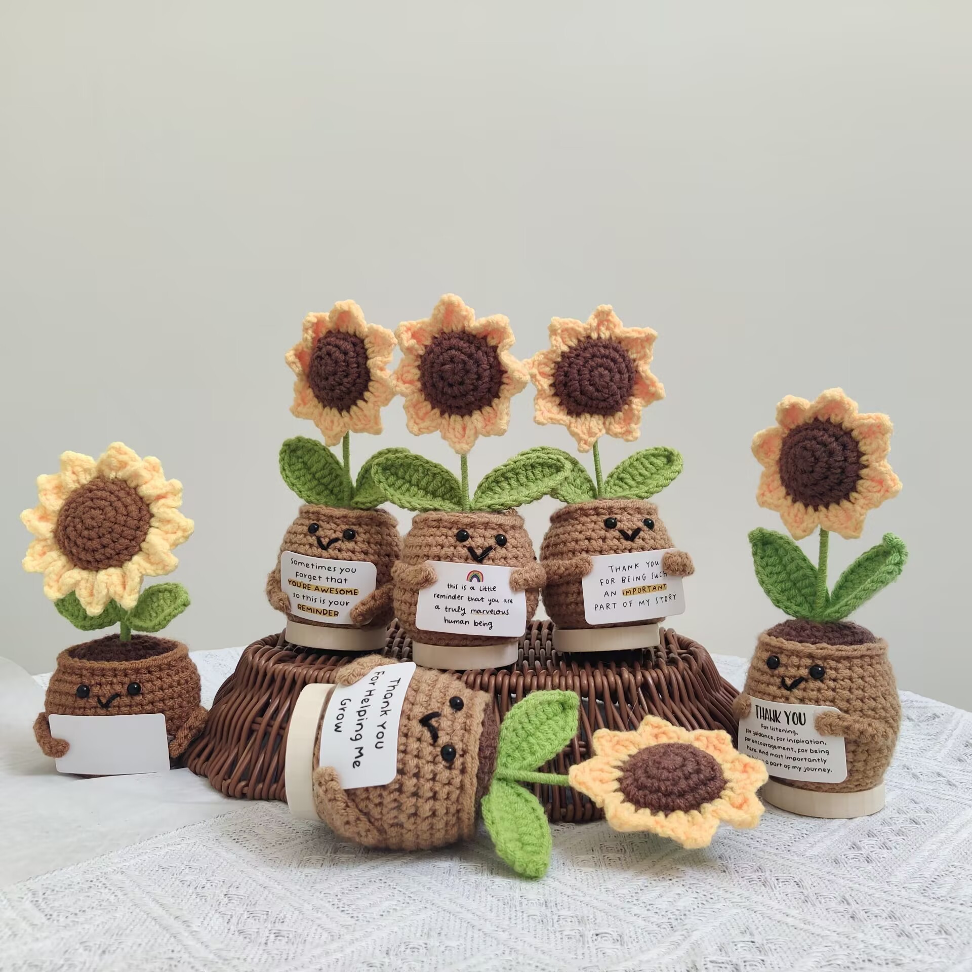Girasol