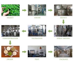 Extrait d'android 98% de haute qualité, <span class=keywords><strong>Paniculata</strong></span>, 1 pièce - Product Image 3