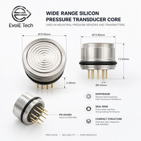 Núcleo de Transductor de Presión de Silicio, Salida Analógica de 4-20 mA, 0-1000 psi, Grado Industrial para Control de Procesos Hidráulicos y Automatizados