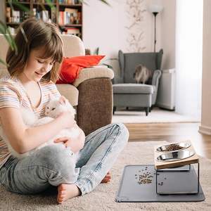 Vente en gros de bols surélevés <span class=keywords><strong>pour</strong></span> <span class=keywords><strong>chat</strong></span>, support incliné à 15 °, plats surélevés <span class=keywords><strong>pour</strong></span> nourriture et eau <span class=keywords><strong>pour</strong></span> <span class=keywords><strong>chat</strong></span>, <span class=keywords><strong>anti</strong></span>-<span class=keywords><strong>vomissement</strong></span>, avec 2 bols en acier inoxydable - Product Image 4