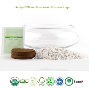 Kit de culture DIY unique et mignon en verre pour aloe vera, petit pot de <span class=keywords><strong>terreau</strong></span> pour enfants, livraison rapide, utilisation à domicile - Product Image 5