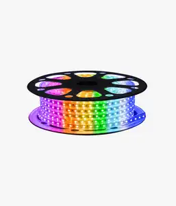 Bande lumineuse LED RVB ETL Listed IP65 Waterproof Dimmable Remote LED RGB Strip Lights for Atmosphere Decoration