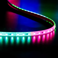 Fée Guirlande Lumineuse Étoilée WS2811 WS2812 RGB 12V 24V LED Lumières Pour Mariage De Noël Halloween Décoration De Vacances En Plein Air