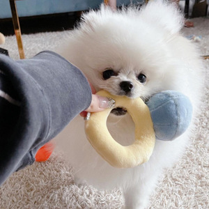 Cute <b>Plush</b> Ring Dog Chew Toy Interactive Pet Toy for Small Dogs Indoor Use Cartoon Style Blue and Yellow Color - Product Image 3